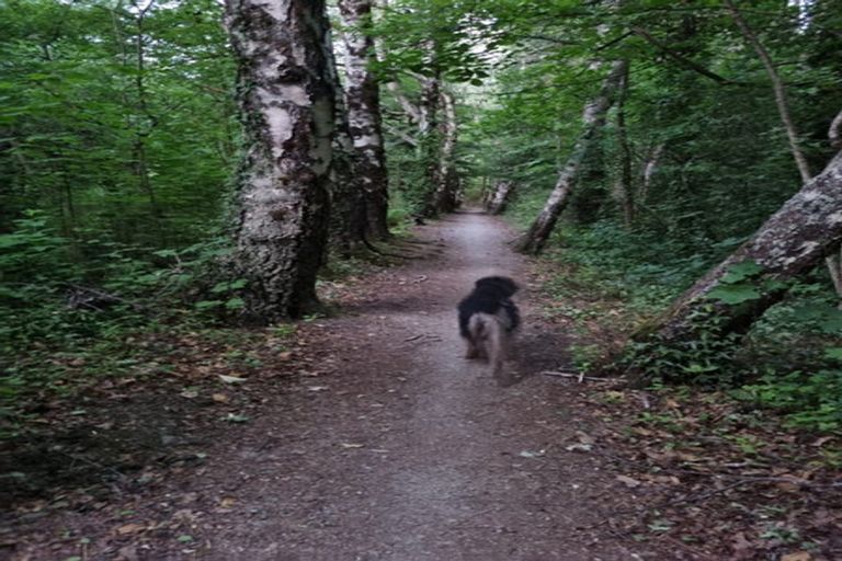 Photo of property in 17 Torquay Terrace, Hanmer Springs, 7334