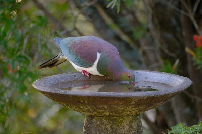 Photo of property in 63 Waiewe Street, Whakatane, 3120