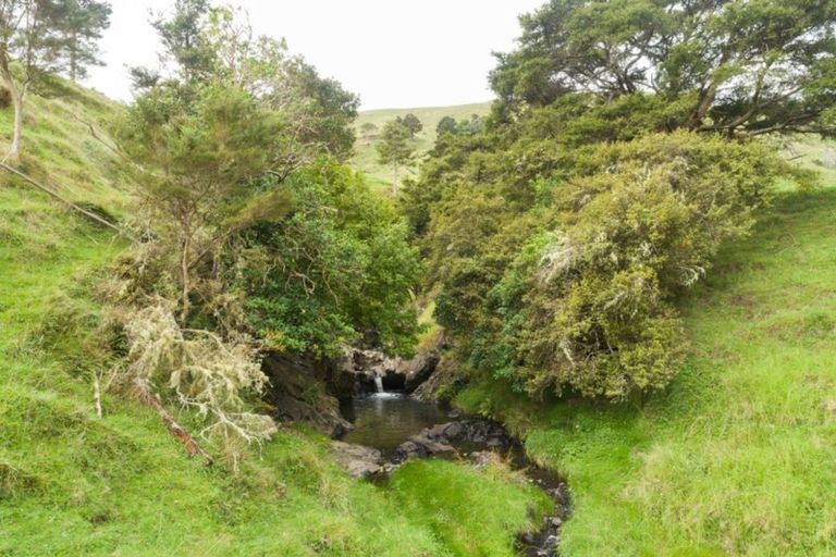 Photo of property in 133 Pukehuia Road, Tangiteroria, 0381