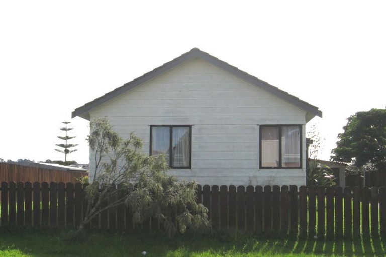 Photo of property in 3 Hinerau Street, Henderson, Auckland, 0612