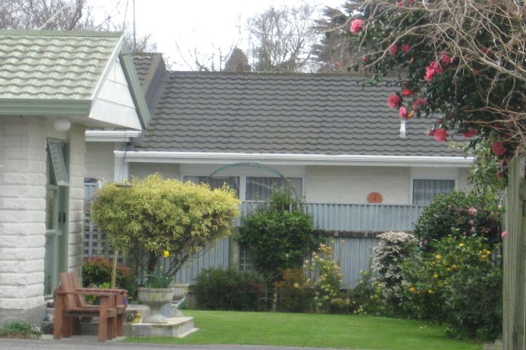 Photo of property in 81b Winchester Street, Levin, 5510