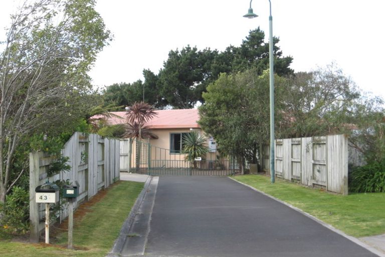 Photo of property in 45 Kane Road, Papamoa Beach, Papamoa, 3118