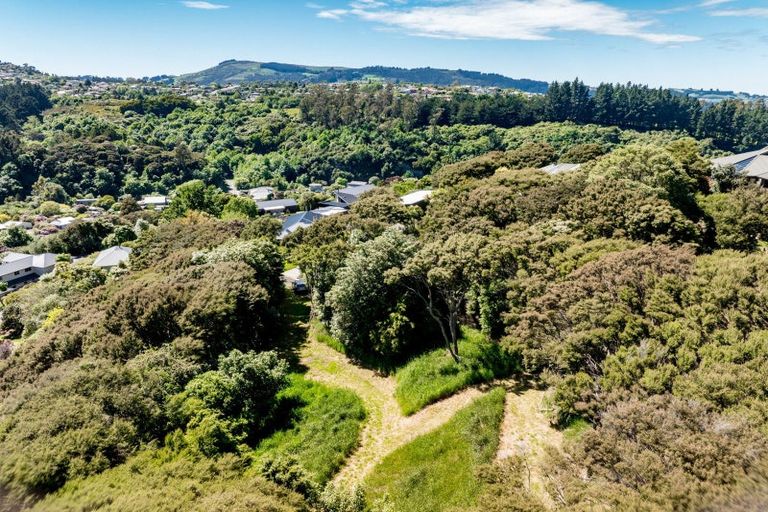 Photo of property in 24 Fred Hollows Way, Glenleith, Dunedin, 9010