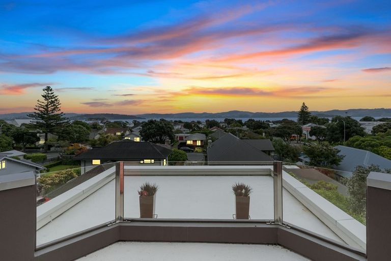Photo of property in 203 Muritai Road, Eastbourne, Lower Hutt, 5013