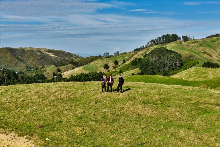 Photo of property in 1275 Paekakariki Hill Road, Paekakariki Hill, Porirua, 5381