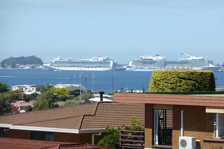 Photo of property in 10 Hazel Terrace, Otumoetai, Tauranga, 3110