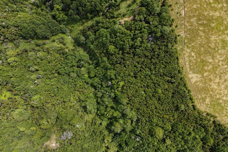 Photo of property in 32 Charwell Terrace, Lyford, Waiau, 7395