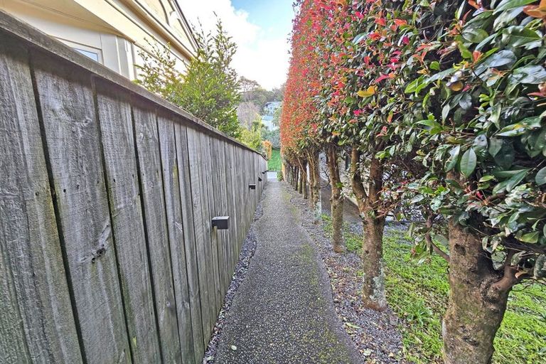 Photo of property in 223a Ohiro Road, Brooklyn, Wellington, 6021