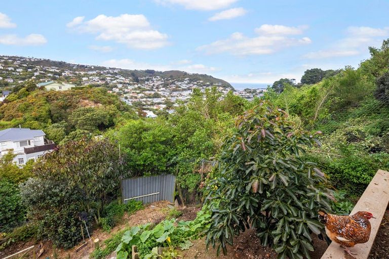 Photo of property in 67 Rhine Street, Island Bay, Wellington, 6023