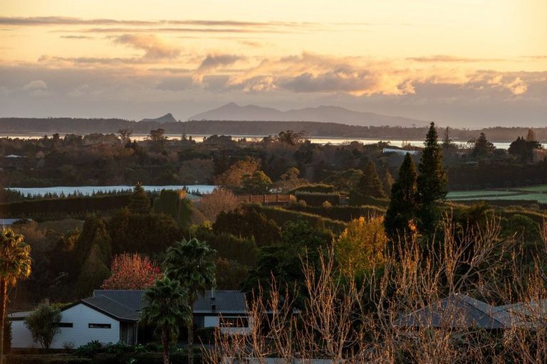 Photo of property in 9 Corbett Drive, Minden, Tauranga, 3176