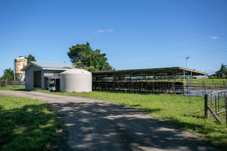 Photo of property in 372 Victoria Road, Pukemoremore, Cambridge, 3493