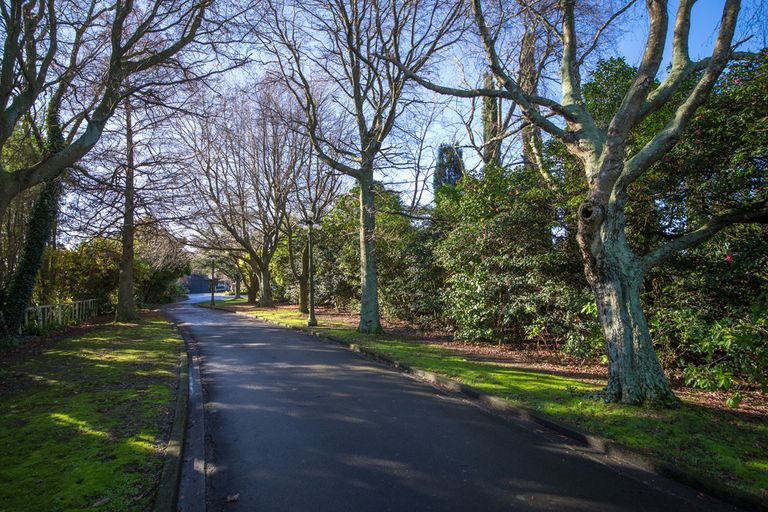 Photo of property in 109 Shirriffs Road, Awapuni, Palmerston North, 4412