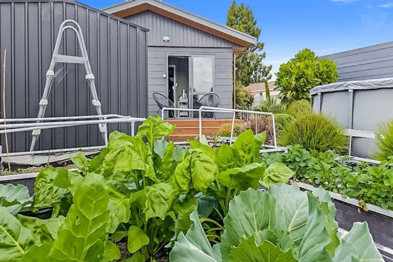 Photo of property in 53 Puriri Crescent, Edgecumbe, 3120