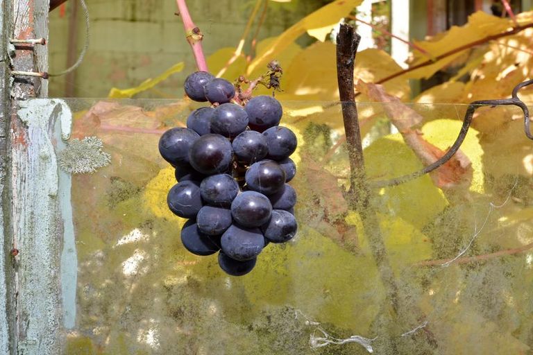 Photo of property in 6 Kennedy Road, Fairfield, Dunedin, 9018