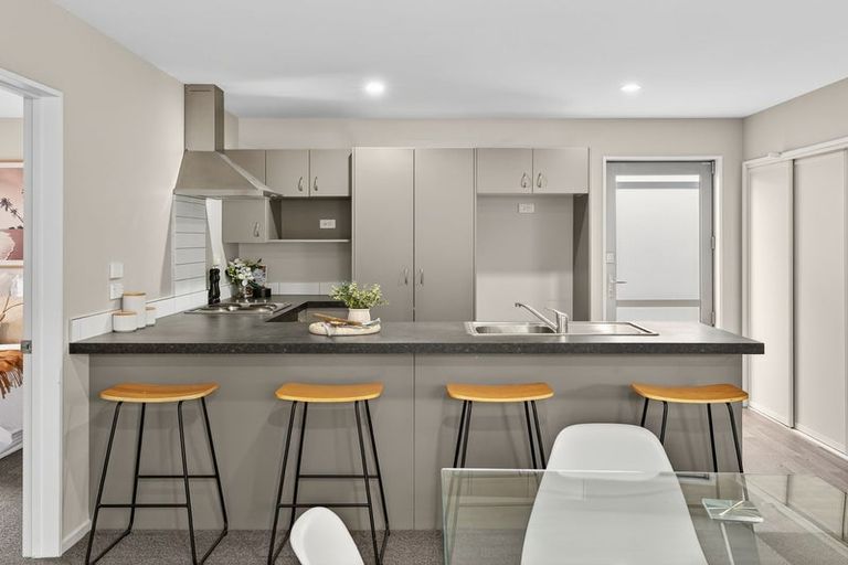 Photo of property in 117a Ruskin Street, Addington, Christchurch, 8024