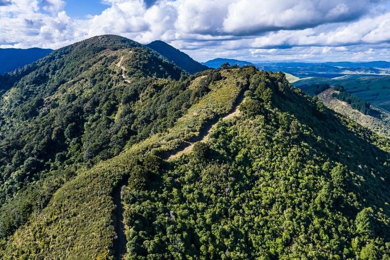 Photo of property in 814 Mikimiki Road, Mikimiki, Masterton, 5881