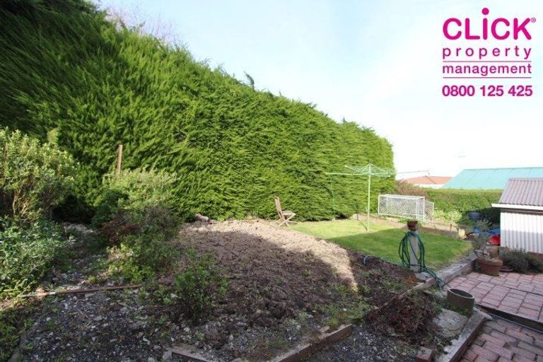 Photo of property in 31 Blair Street, Kenmure, Dunedin, 9011