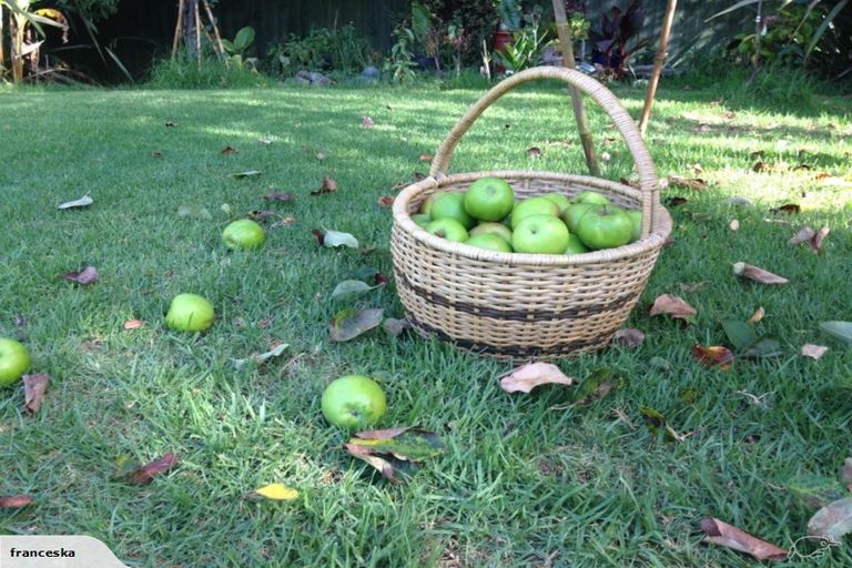 Photo of property in 391 Kaipara Coast Highway, Helensville, Kaukapakapa, 0871