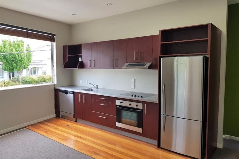 Photo of property in 203 Tasman Street, Mount Cook, Wellington, 6021