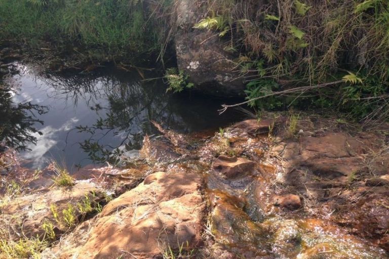 Photo of property in 356 Cable Bay Block Road, Cable Bay, 0420