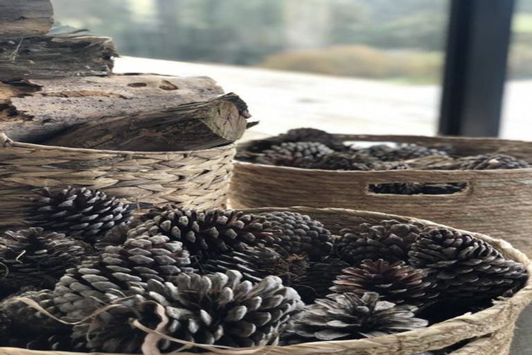 Photo of property in 360a Longbush Road, Hinakura, Masterton, 5884