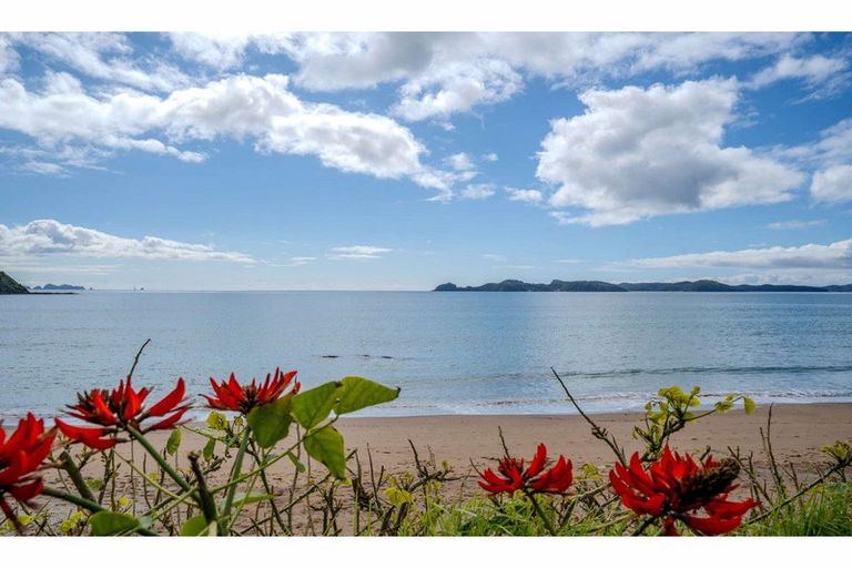 Photo of property in 135 Long Beach Road, Russell, 0202