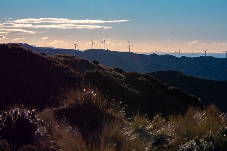 Photo of property in Long Gully Farm, 500 Hawkins Hill Road, Brooklyn, Wellington, 6021