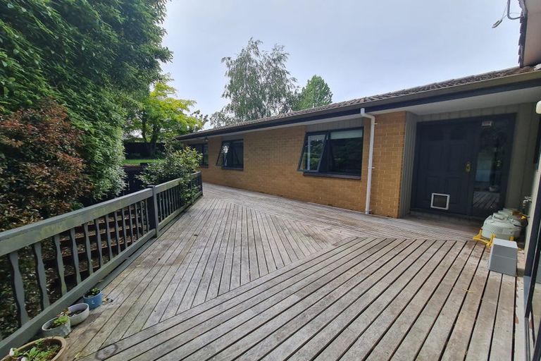Photo of property in 91 James Cook Street, Havelock North, 4130