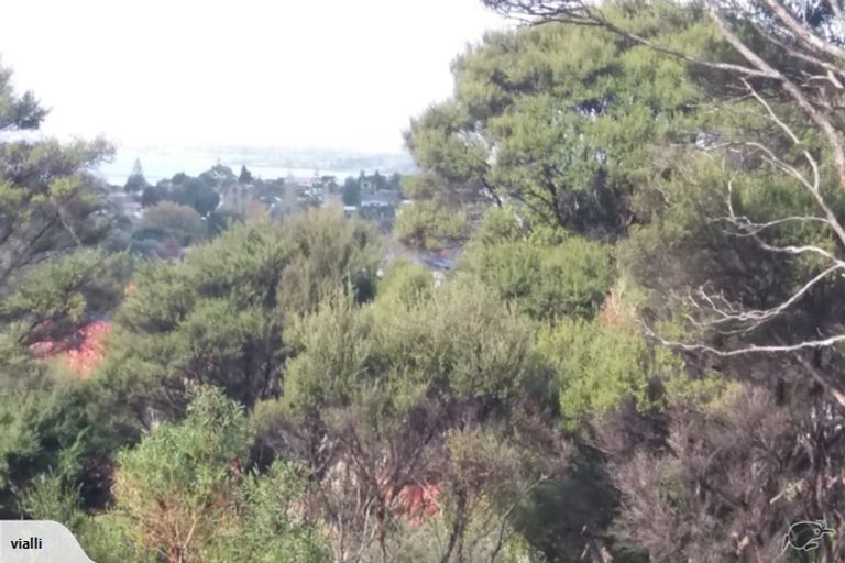 Photo of property in 24 Mccahon Place, Titirangi, Auckland, 0604