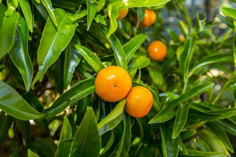 Photo of property in 1282b Fergusson Drive, Brown Owl, Upper Hutt, 5018