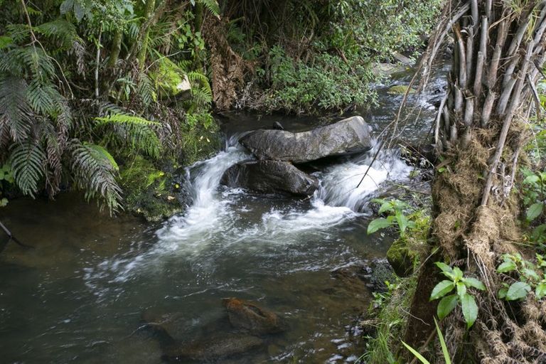 Photo of property in 159 Te Miro Road, Te Miro, Cambridge, 3496