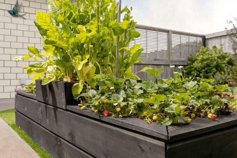 Photo of property in Waterview Estate, 30/4 Greystone Place, Omokoroa, 3114