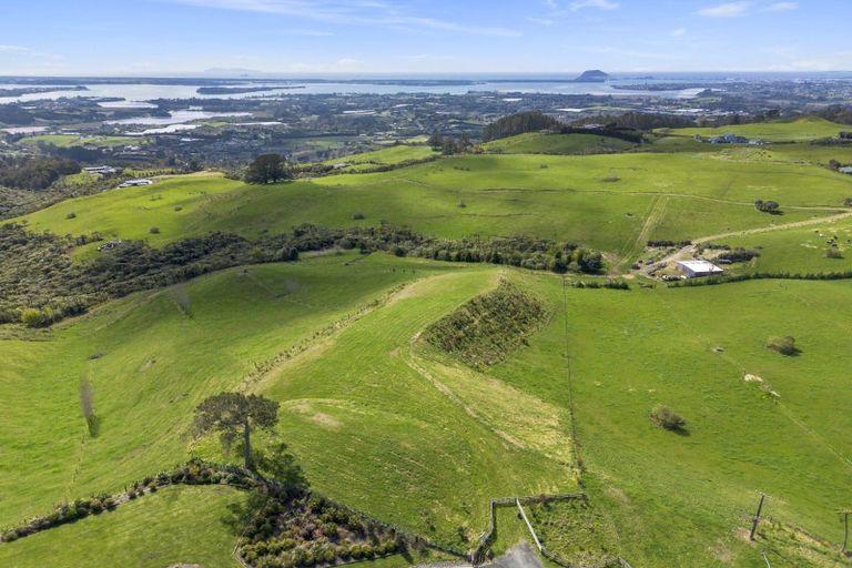 Photo of property in 596a Minden Road, Minden, Tauranga, 3176