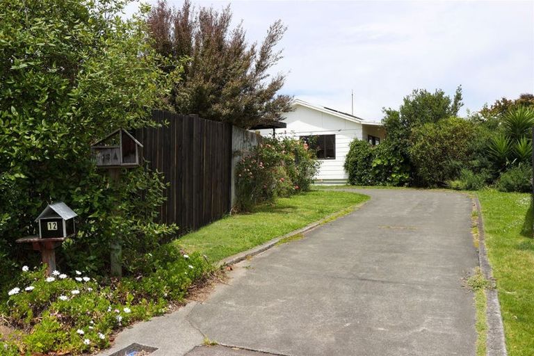 Photo of property in 12 Chestnut Court, Havelock North, 4130