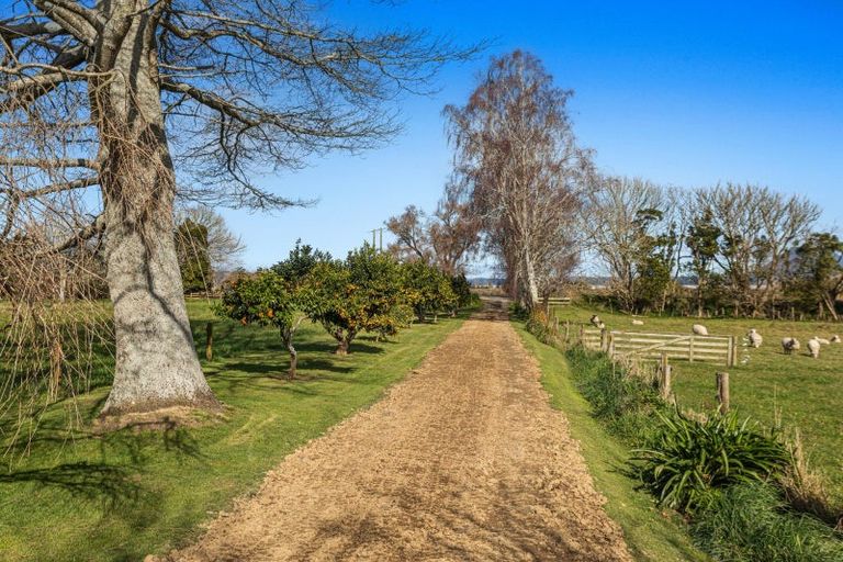 Photo of property in 402 Awakeri Road, Edgecumbe, Whakatane, 3193