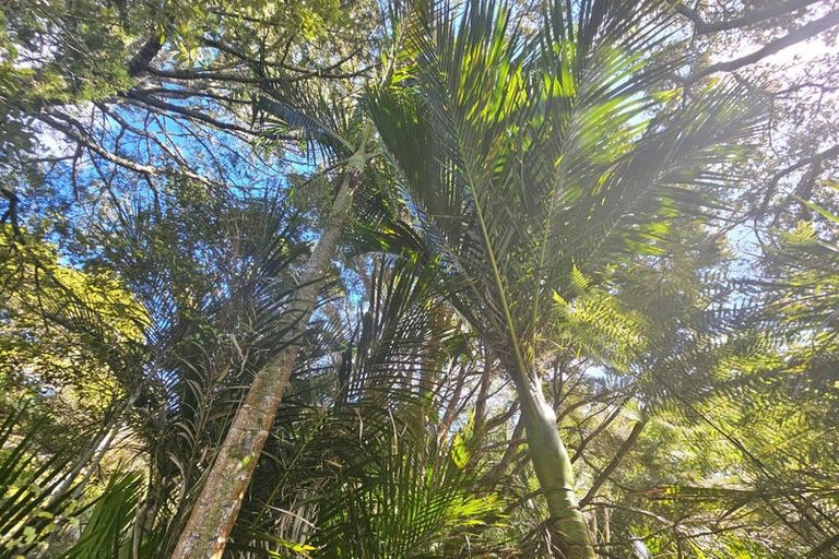 Photo of property in 5 Yarborough Street, Kohukohu, 0491