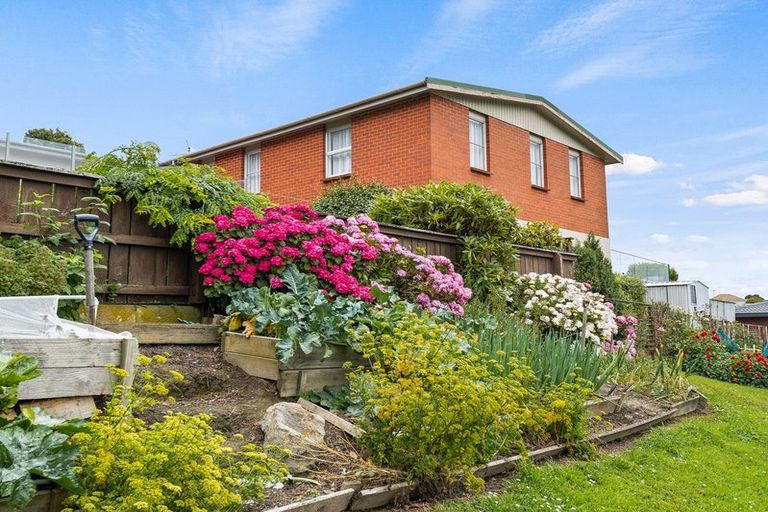 Photo of property in 133 Doon Street, Waverley, Dunedin, 9013