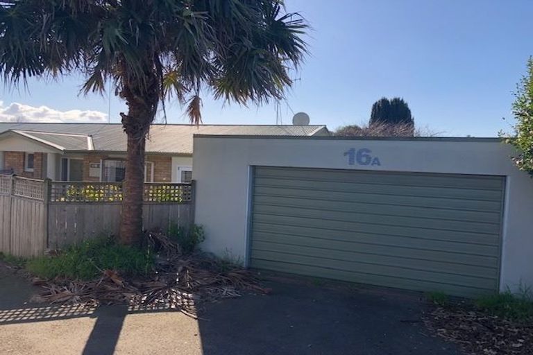 Photo of property in 16a Bristol Avenue, Brookfield, Tauranga, 3110