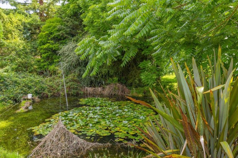 Photo of property in 157b Otapouri Road, Owhango, 3989