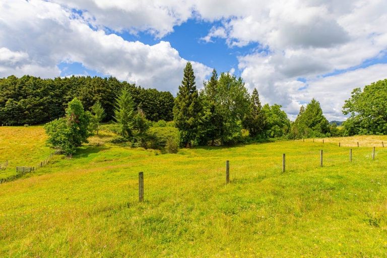 Photo of property in 157b Otapouri Road, Owhango, 3989