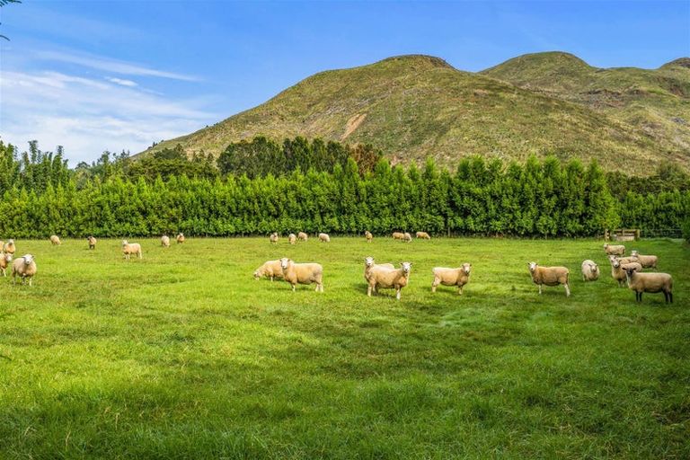 Photo of property in 710 Sommerville Road, Tangowahine, Dargaville, 0372