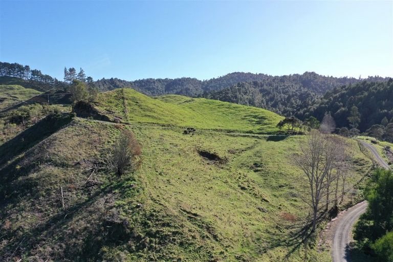 Photo of property in 128c Otonga Valley Road, Raglan, 3295