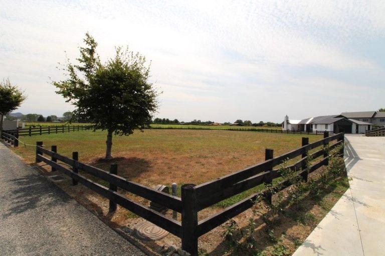 Photo of property in 24 Eldonwood Drive, Matamata, 3400