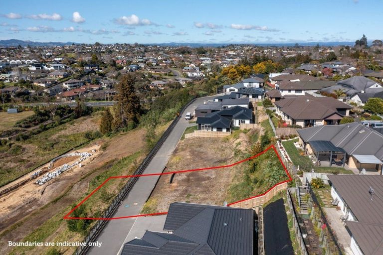 Photo of property in 11 Hyforce Way, Bethlehem, Tauranga, 3110