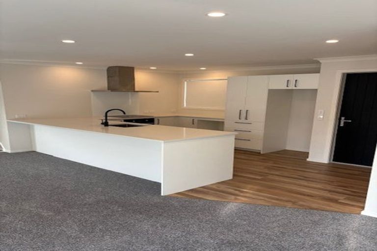 Photo of property in 115a Limbrick Street, Terrace End, Palmerston North, 4410