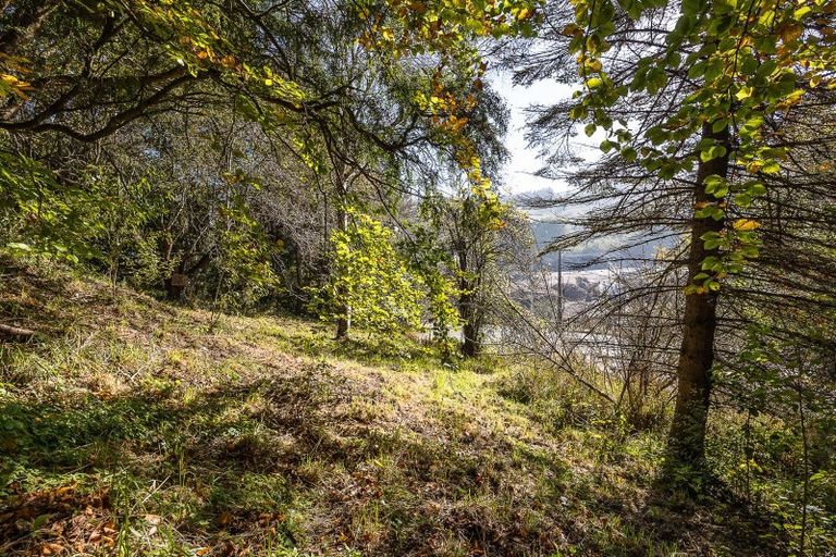 Photo of property in 4 Ensor Street, Burnside, Dunedin, 9011