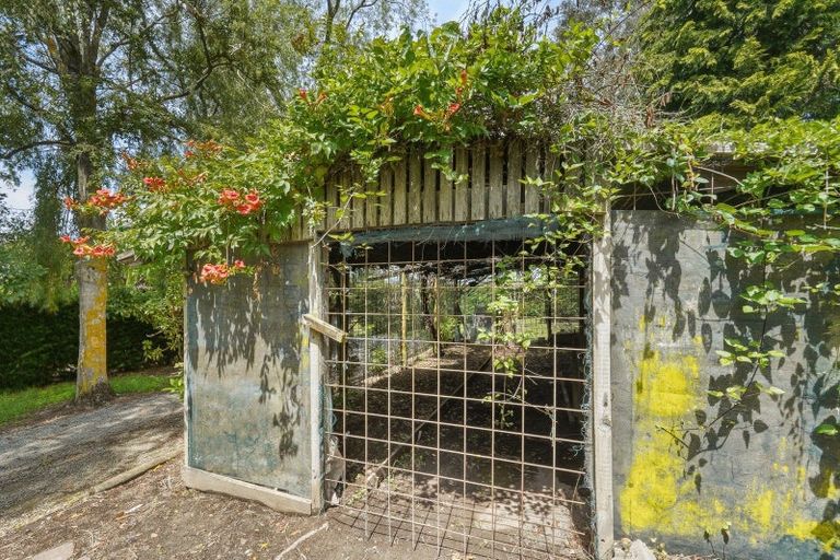 Photo of property in 125 Forestry Road, Ashley, Rangiora, 7477