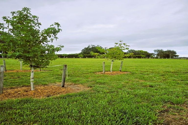 Photo of property in 5 Arete Lane, Levin, 5571