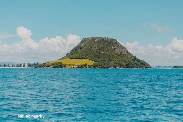 Photo of property in 20/36 Miro Street, Mount Maunganui, 3116