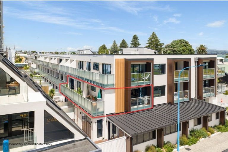 Photo of property in 6 Adams Avenue, Mount Maunganui, 3116